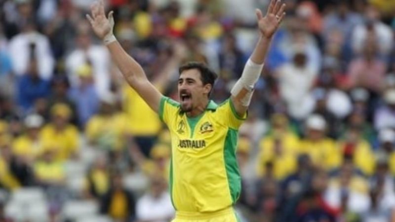 Starc Aims for Redemption in World Cup Final, Ready to Take on India's Top Order