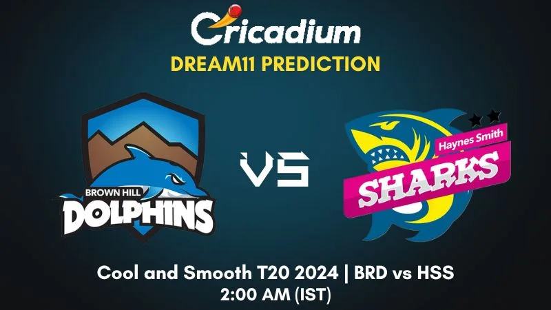 BRD vs HSS Dream11 Prediction Match 14 Cool and Smooth T20 2024